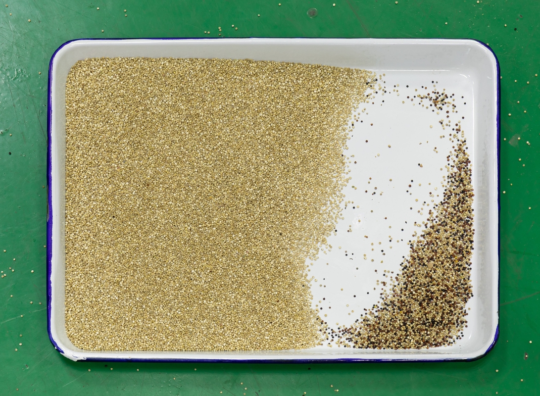 Machine de tri des couleurs de quinoa Sorteur de couleurs intelligent avec télécommande 2 ans de garantie