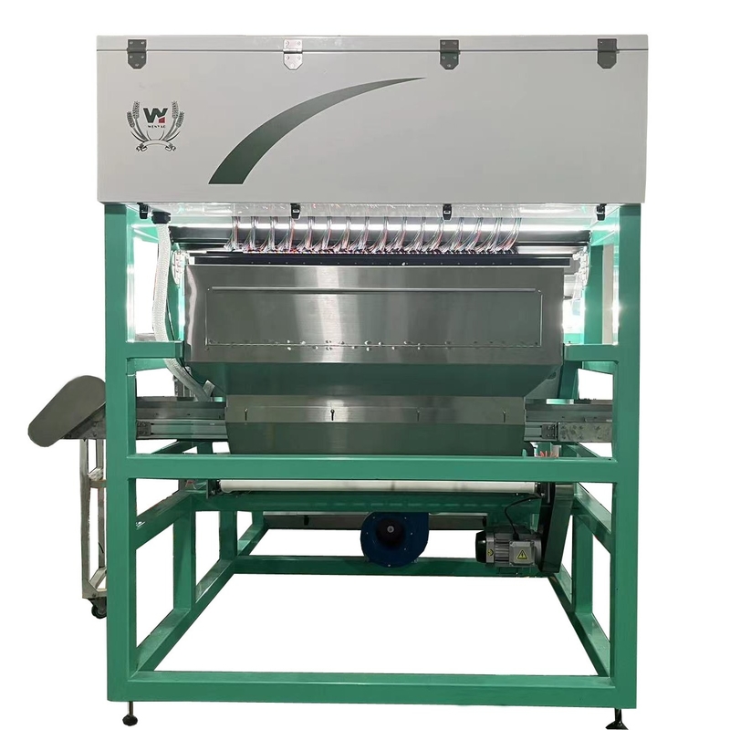 Sortieuse de couleurs de fraises Wenyao Machine de tri de couleurs de ceinture intelligente pour fruits surgelés Café cerisier Blueberry Fraise