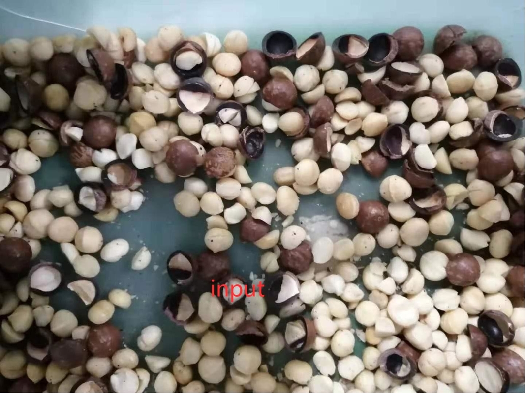 Machine de tri des noix de macadamia de grande capacité ouverte Pistachios machine à coquille de noix d'amande machine de concassage de couleur de tri