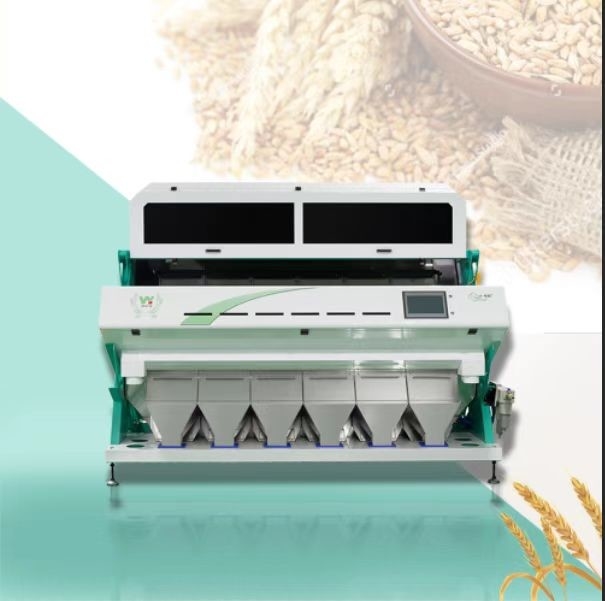 Machine de tri des couleurs de la noix de figue de dinde et de la noix de hasard Le riz CCD Les grains de café Les cacahuètes Sorteuse optique de couleurs