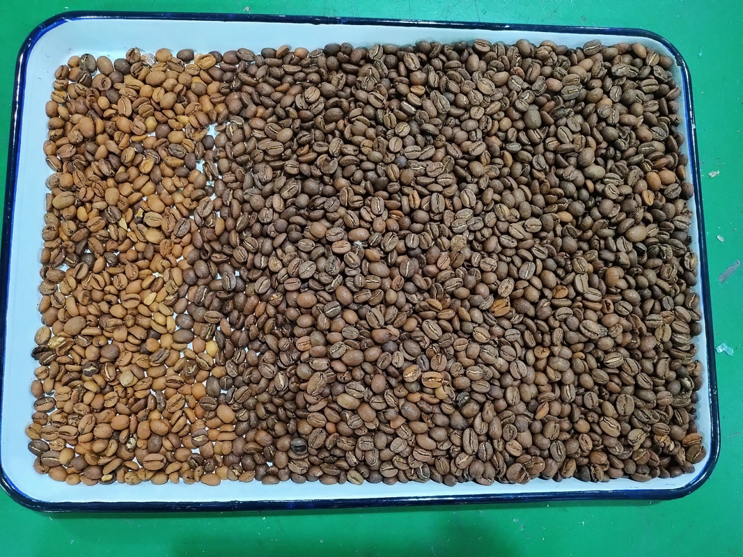 Chine Sécurité alimentaire personnalisée Sortisseur optique de couleurs CCD Machine de tri des couleurs pour les grains de café