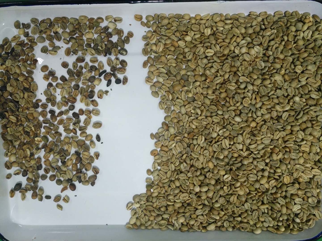 Wenyao 5 chute machine de tri optique multifonctionnelle de couleur de grains de café