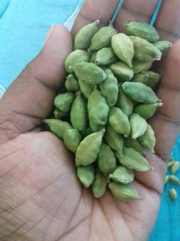 Wenyao 3 Chute, machine de tri des couleurs de maïs, de haricots et de cardamome