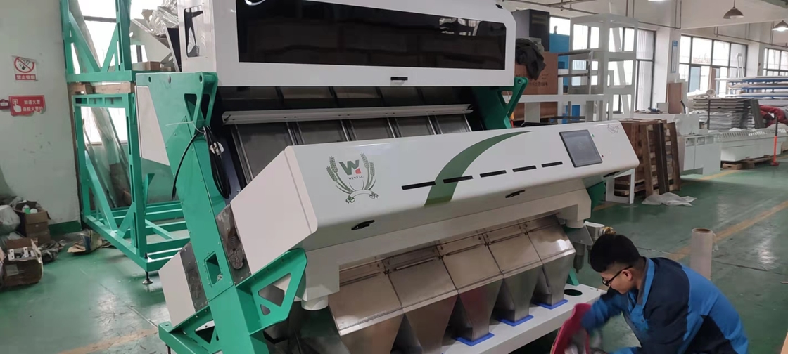 Appareil de tri des couleurs en plastiquePlastique pour animaux de compagnie