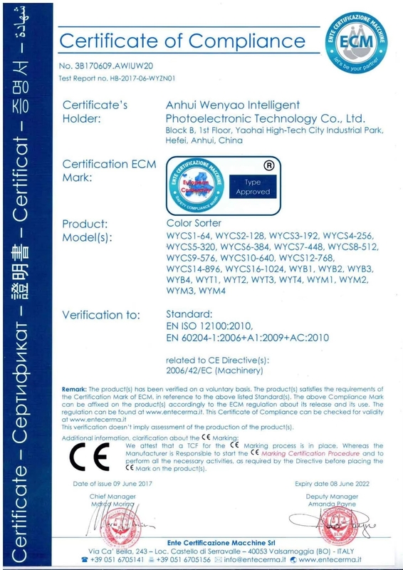 Wenyao Le plus récent certificat optique de la CE Les graines de citrouille Les graines de pastèque La machine de tri des couleurs
