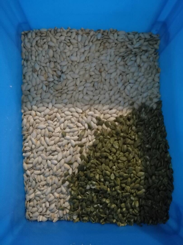 Wenyao Le plus récent certificat optique de la CE Les graines de citrouille Les graines de pastèque La machine de tri des couleurs