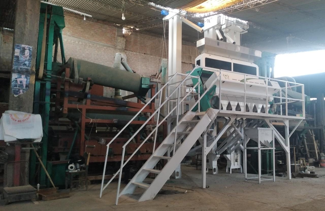 Wenyao Le plus récent certificat optique de la CE Les graines de citrouille Les graines de pastèque La machine de tri des couleurs