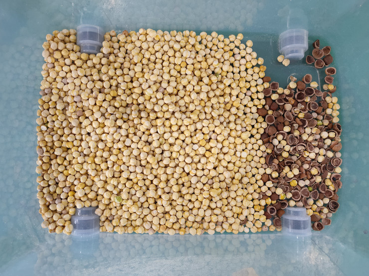 Trieuse optique couleur haute vitesse à caméra CCD pour la production d'arachides