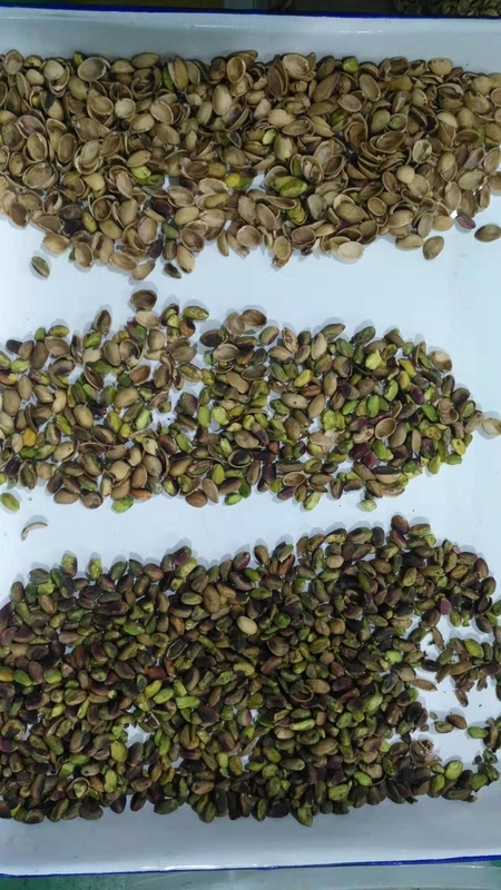 Trieuse optique couleur haute vitesse à caméra CCD pour la production d'arachides