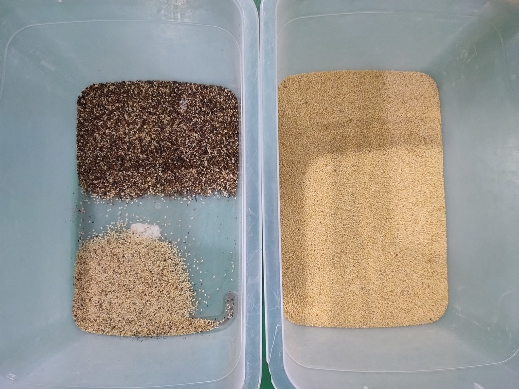 Wenyao usine chinoise 7 chute style haute technologie grain sésame machine de tri des couleurs