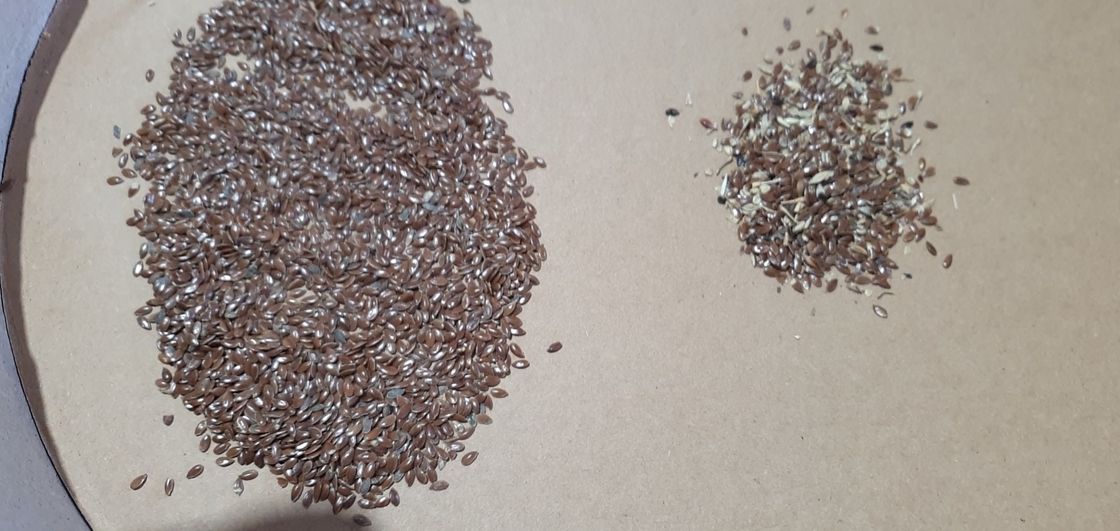 Wenyao 2025 Vente chaude de graines de tri entièrement automatique Graines de chia Graines de lin Color Sorting Machine