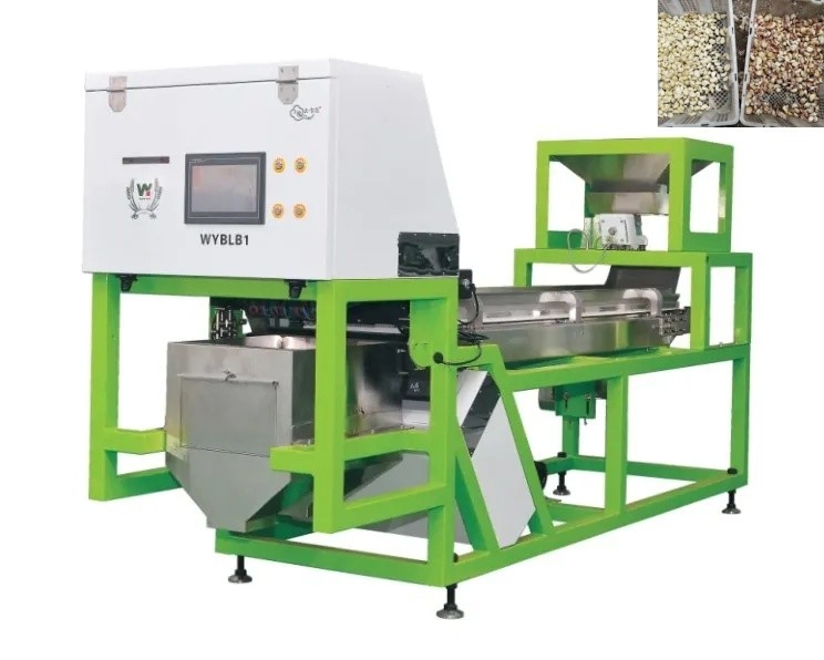Machine de tri des clous d'ail Sorteuse de couleurs d'ail pour la transformation des aliments
