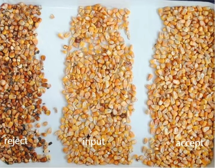 WENYAO Autopurificateur à grande vitesse pour les opérations de tri des céréales de riz Machine de tri des couleurs