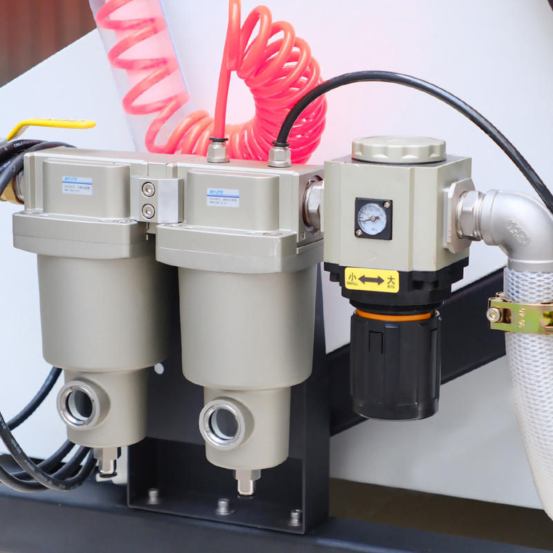 WENYAO Machine de tri des grains de quinoa par couleur avec caméra CCD