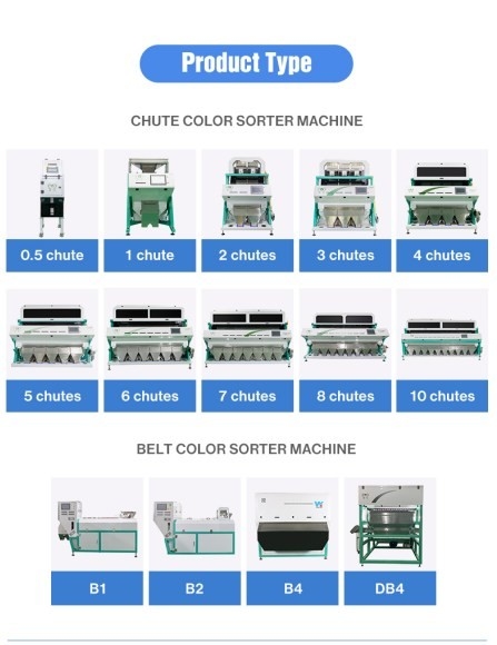 WENYAO Machine de tri des grains de quinoa par couleur avec caméra CCD