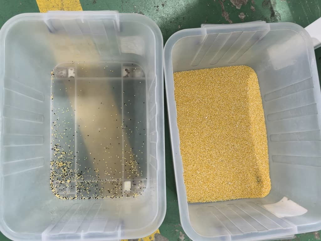 Séparateur de couleurs de grains de gomme de pêche à haute précision à 2 canaux