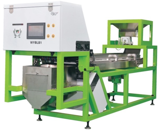 Machine de tri optique de couleur d'ail par caméra CCD, épluchage d'ail, élimination des taches, machine à trier les couleurs de noix, d'ail, de cerises et de café avec CE