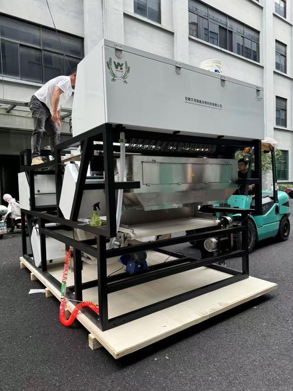 WYDB4 Séparateur de couleur pour feldspath potassique, sable de quartz, 10-20 tonnes par heure, Trieur de couleurs sur chenilles