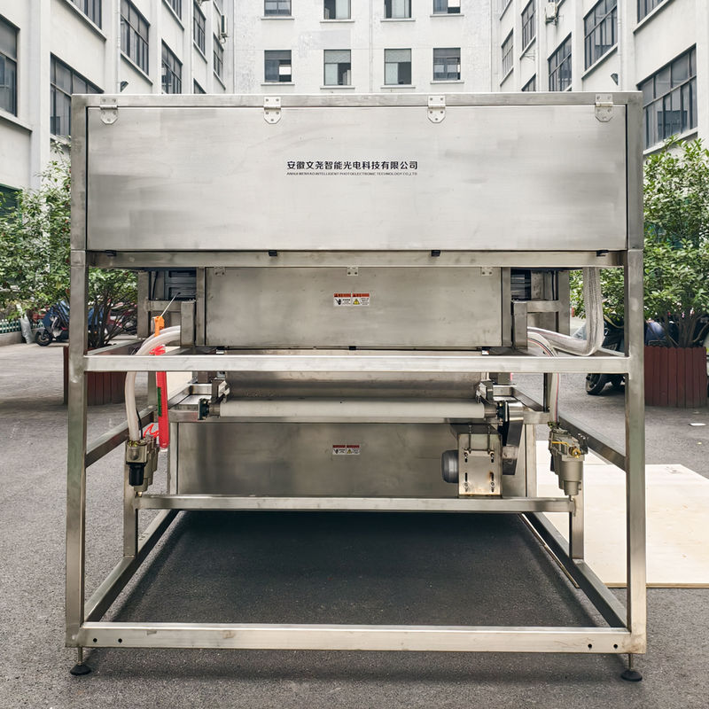 Trieuse de couleurs pour fraises surgelées Juniper en acier inoxydable étanche à courroie de 1200 mm