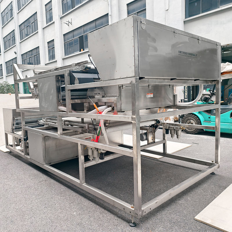 Trieuse de couleurs pour fraises surgelées Juniper en acier inoxydable étanche à courroie de 1200 mm