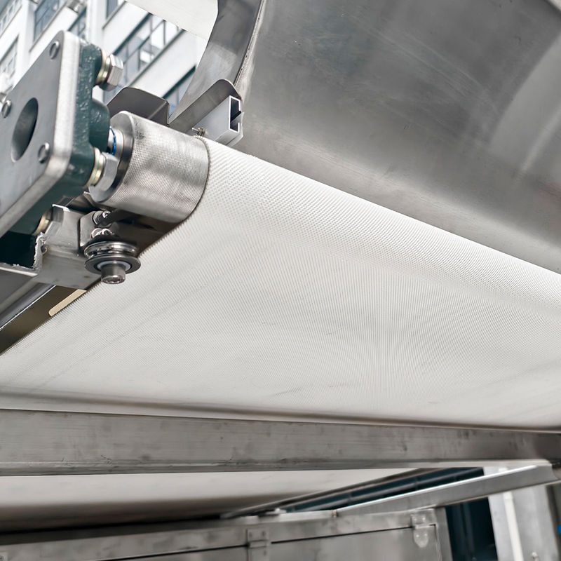 Trieuse de couleurs pour fraises surgelées Juniper en acier inoxydable étanche à courroie de 1200 mm