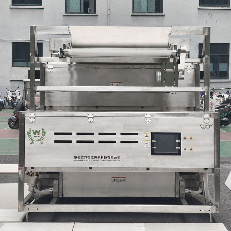 Trieuse de couleurs pour fraises surgelées Juniper en acier inoxydable étanche à courroie de 1200 mm