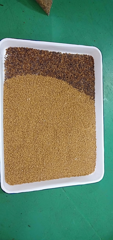 2000 kg/h Pérou Sorteur optique de quinoa Machine de tri en couleur complète CCD Sorteur Machine de tri pour les céréales andines