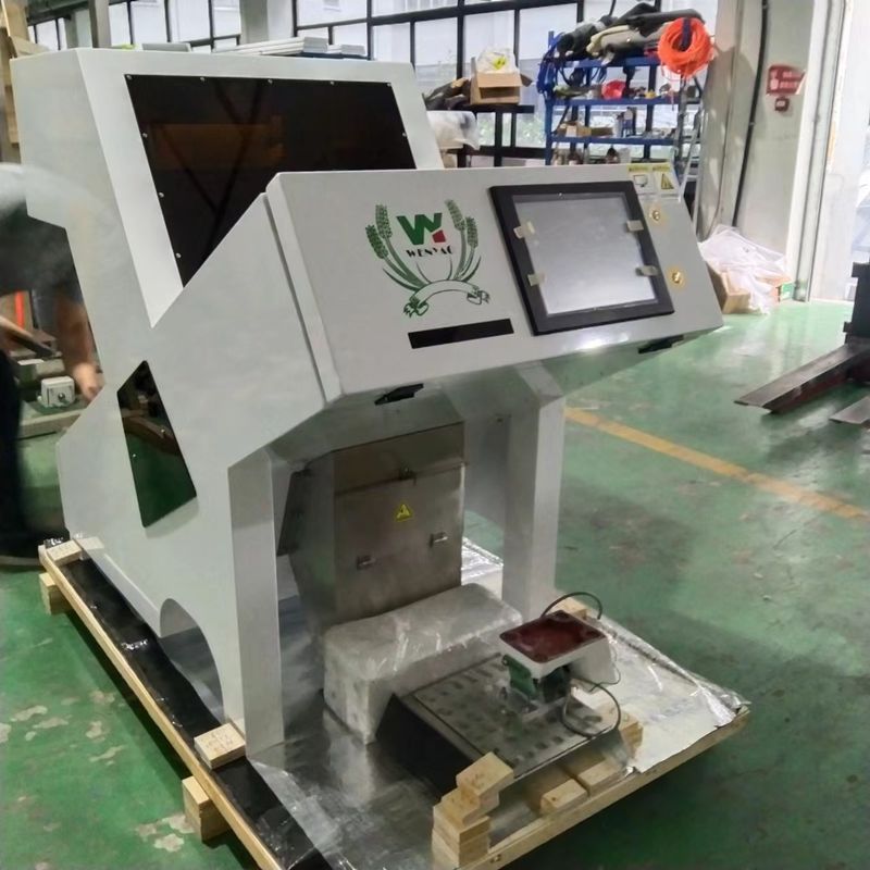 TRIEUSE OPTIQUE COULEUR POUR CHÂTAIGNES DÉSHYDRATÉES ET SÉCHÉES WENYAO 1