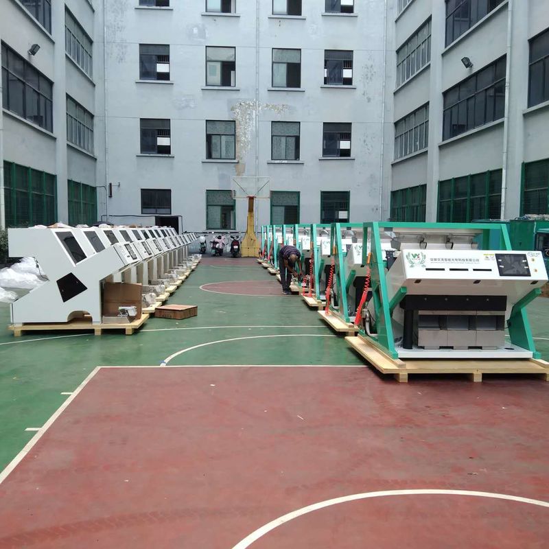 Wenyao 2025 La plus récente machine de tri des couleurs optique en Chine