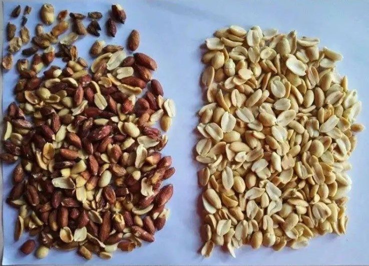 Trieuse polychrome de couleur d'écrou d'amande de trieuse de couleur de caméra CCD de fonction de Wenyao Multi