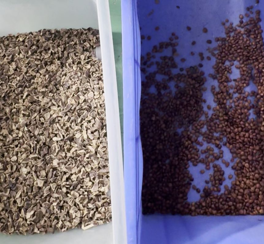 Wenyao double ceinture haute technologie caméra CCD intelligente machine de tri des couleurs de feuille de soya