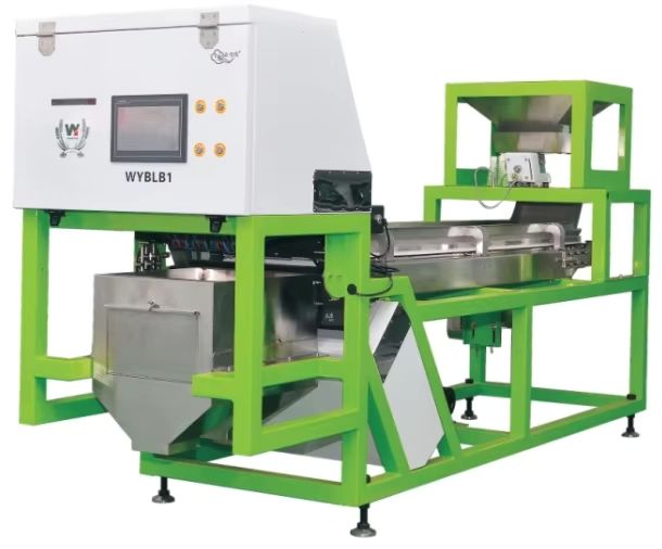 Machine de tri de couleur automatique Wenyao pour la séparation des couleurs des myrtilles fraîches et des baies de genièvre