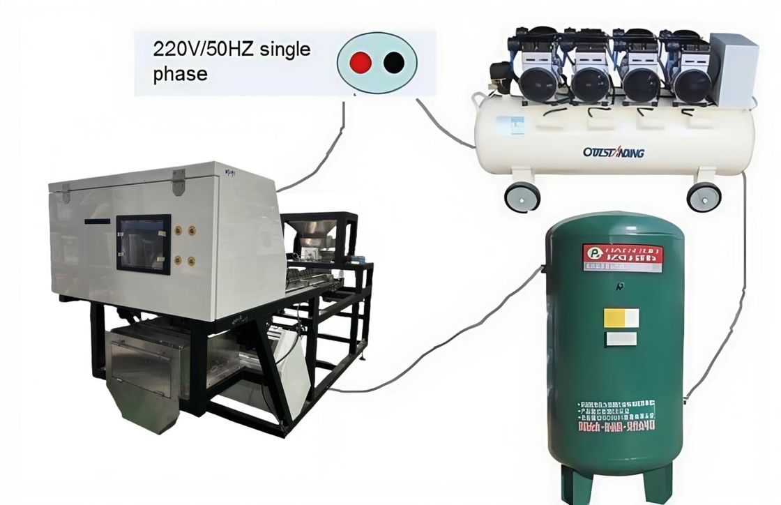 Machine de tri de couleur automatique Wenyao pour la séparation des couleurs des myrtilles fraîches et des baies de genièvre