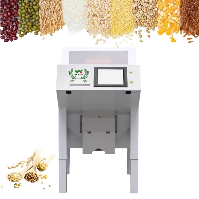 Machine de tri couleur automatique de poivre noir Wenyao pour le tri de haute précision des graines et des haricots