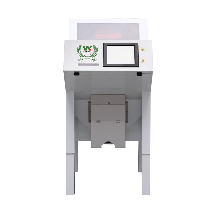 Machine de tri couleur automatique de poivre noir Wenyao pour le tri de haute précision des graines et des haricots