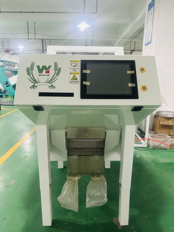 Machine de tri couleur automatique de poivre noir Wenyao pour le tri de haute précision des graines et des haricots