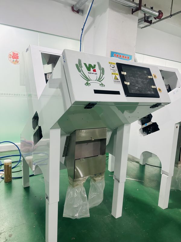 Machine de tri couleur automatique de poivre noir Wenyao pour le tri de haute précision des graines et des haricots