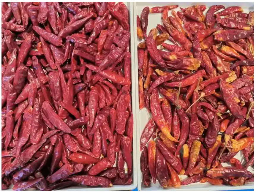 Trieuse optique de couleurs WENYAO pour ceinture, machine de tri des couleurs pour hibiscus, bâtonnets de cannelle et piments, avec une grande précision de tri