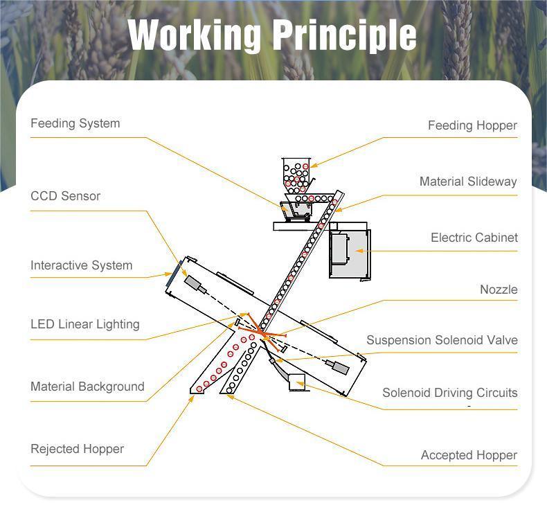 WENYAO Paramètres Réglables de Tri à Grande Vitesse pour Trieurs Optiques de Lignes de Tri de Grains