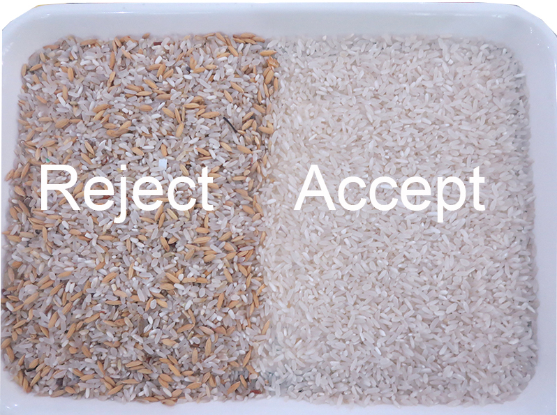 Trieuse automatique des grains AI de trieuse de couleur de riz de CCD de but multi