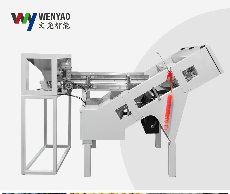 Machine de réutilisation de PVC de PE d'ABS pp de machine de trieuse de couleur en plastique de technologie d'IA