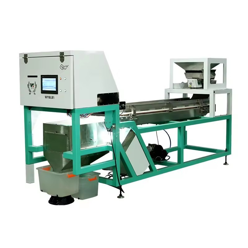 Graine de WENYAO Walnut Shell Removal Machine examinant la machine de trieuse de couleur d'écrou d'AI