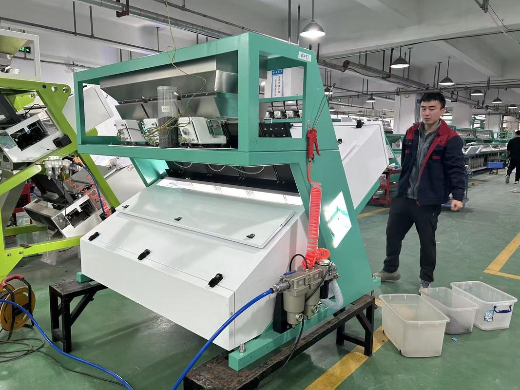 Trieuse de couleurs pour maïs, blé, haricots, fèves, à haute capacité Wenyao