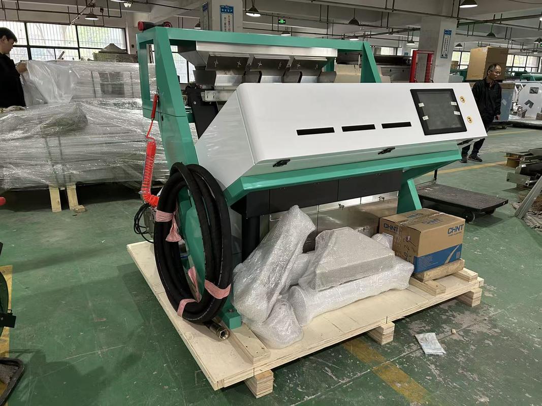 Trieuse de couleurs pour maïs, blé, haricots, fèves, à haute capacité Wenyao