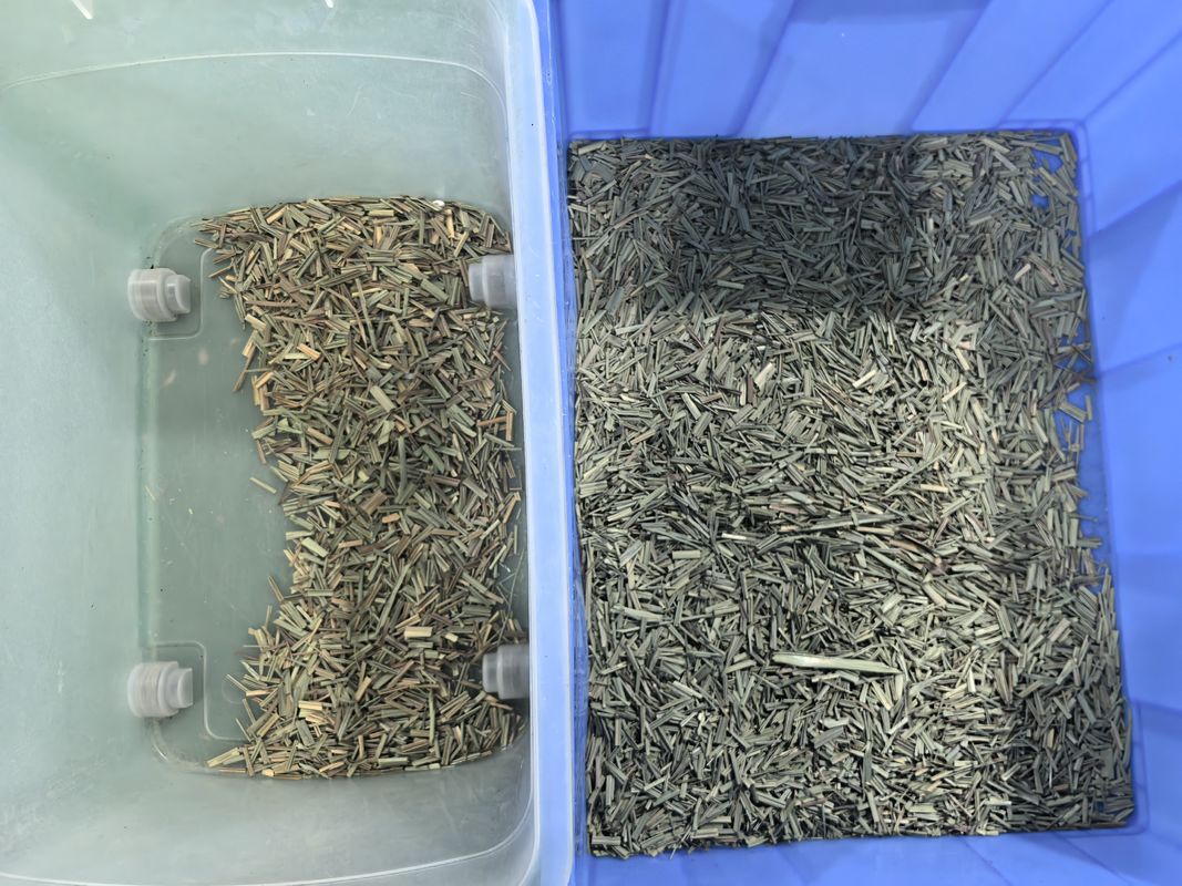 WENYAO CCD Sorteur de couleurs d'épices Optique Lemongrass Color Sorting Machine avec le prix d'usine