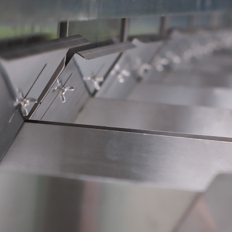 Machine de séparation des couleurs des noix et des noisettes