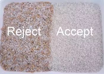 Trieur de couleur pour noix, haricots, amandes, cacahuètes - Machine de séparation - Élimination des mauvais produits moisis