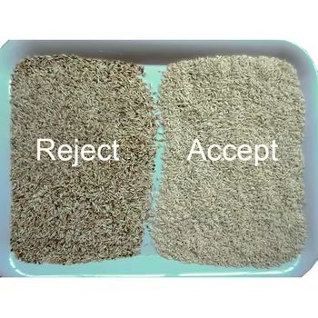 Trieur de couleur pour noix, haricots, amandes, cacahuètes - Machine de séparation - Élimination des mauvais produits moisis