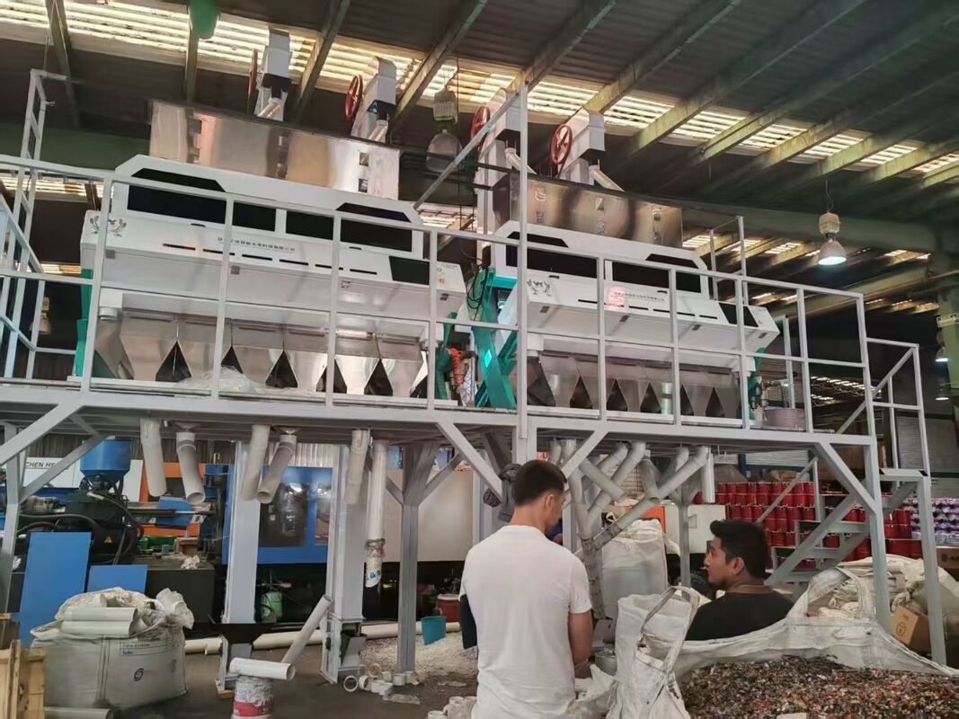 Wenyao haute technologie multi-fonction de blé de sarrasin d'orge de couleur trier la machine de tri des couleurs