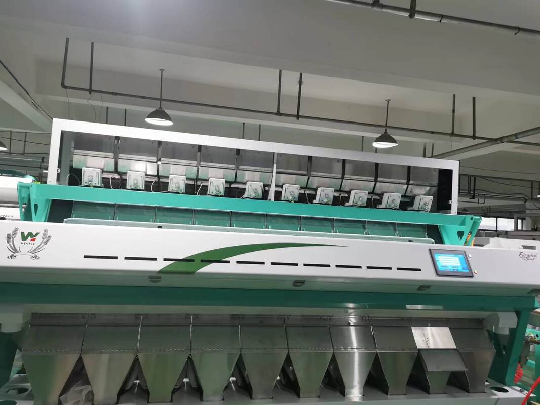 Wenyao Sea Buckthorn Ai Color Sorting Machine Fruit Sorting Grain rouge Noix de noix noyau Basmati Rice Lentilles Couleur de graines de café